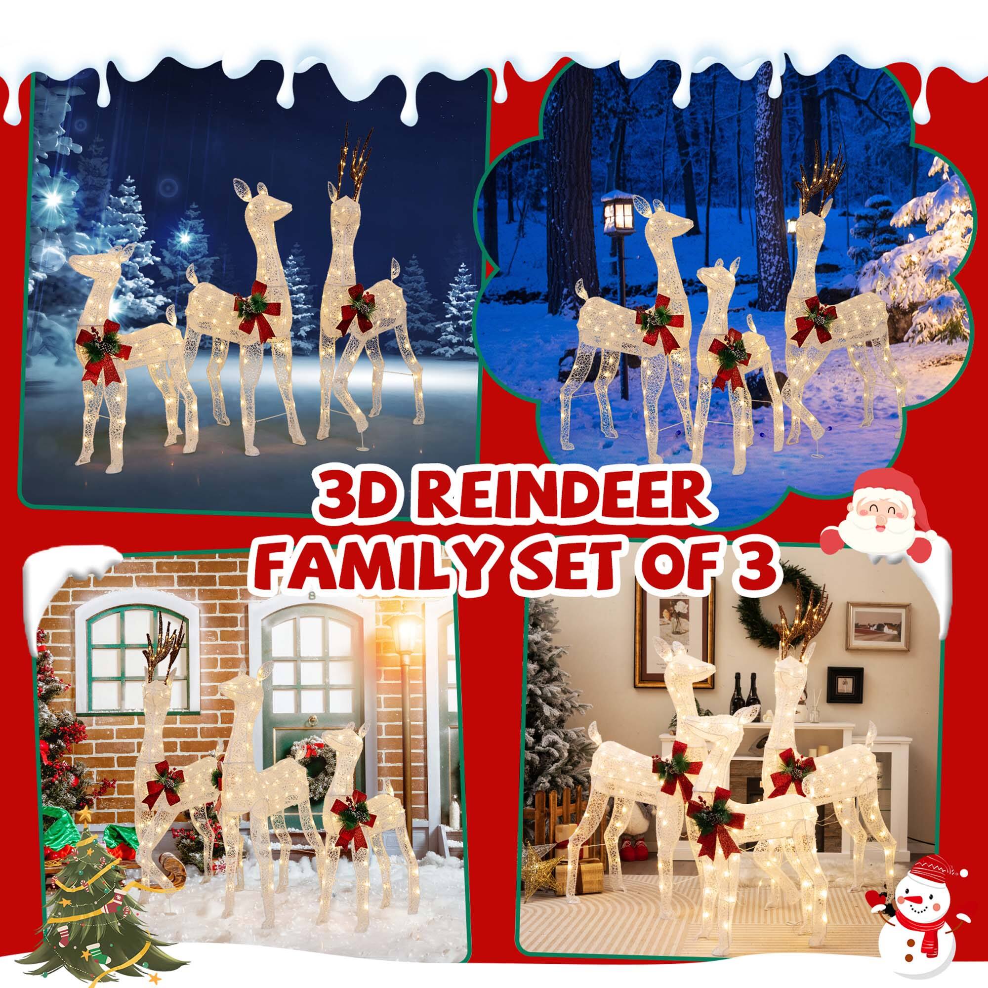 3D Reindeer Family Set of 3