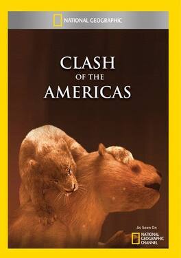 Clash of the Americas - DVD