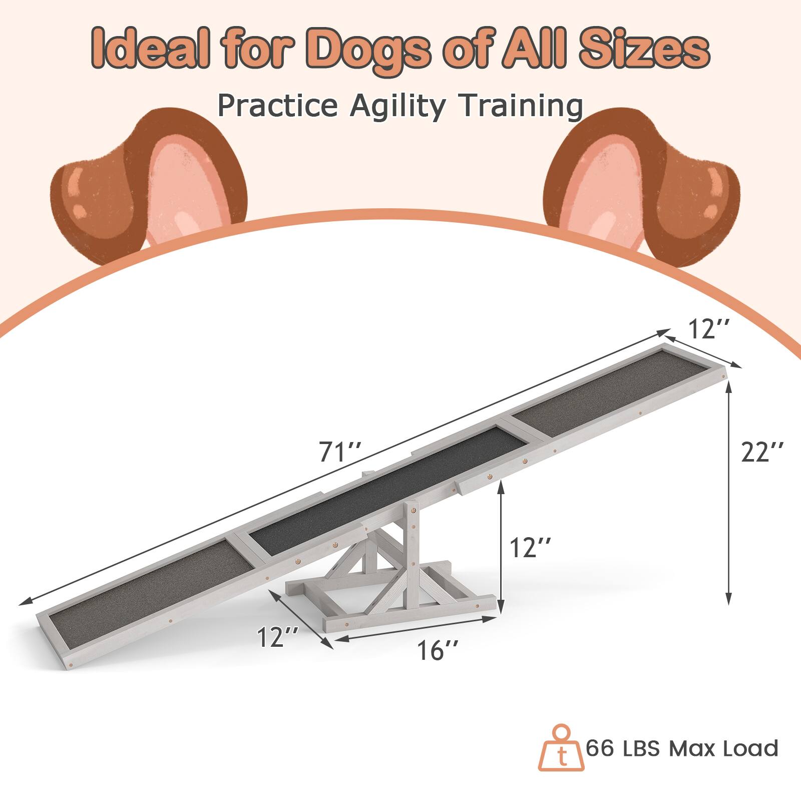 Ideal for Dogs of All Sizes  
Practice Agility Training  

12"  
71"  
22"  
12"  
12"  
16"  

66 LBS Max Load