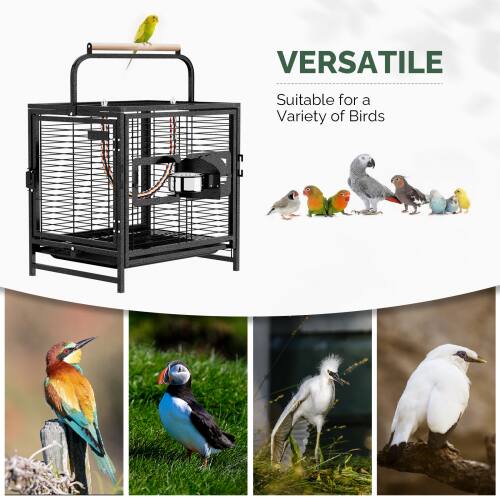 VERSATILE  
Suitable for a Variety of Birds