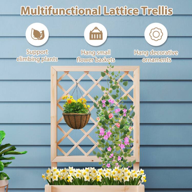 Multifunctional Lattice Trellis

- Support climbing plants
- Hang small flower baskets
- Hang decorative ornaments