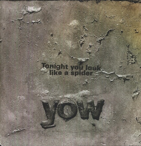 David Yow - Tonight You Look Like a Spider  - VINYL LP