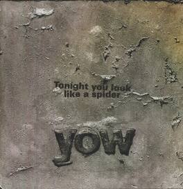 David Yow - Tonight You Look Like a Spider - VINYL LP