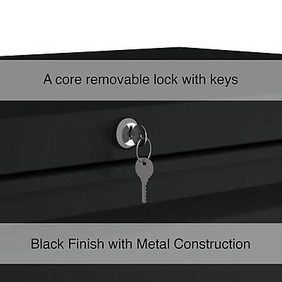 A core removable lock with keys  
Black Finish with Metal Construction