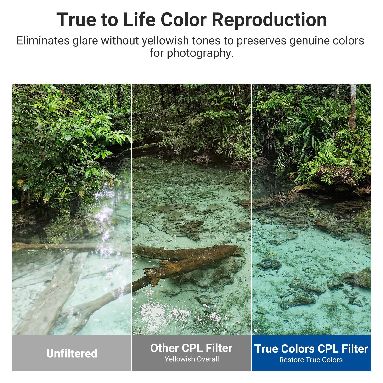 True to Life Color Reproduction  
Eliminates glare without yellowish tones to preserve genuine colors for photography.  

Unfiltered  
Other CPL Filter (Yellowish Overall)  
True Colors CPL Filter (Restore True Colors)