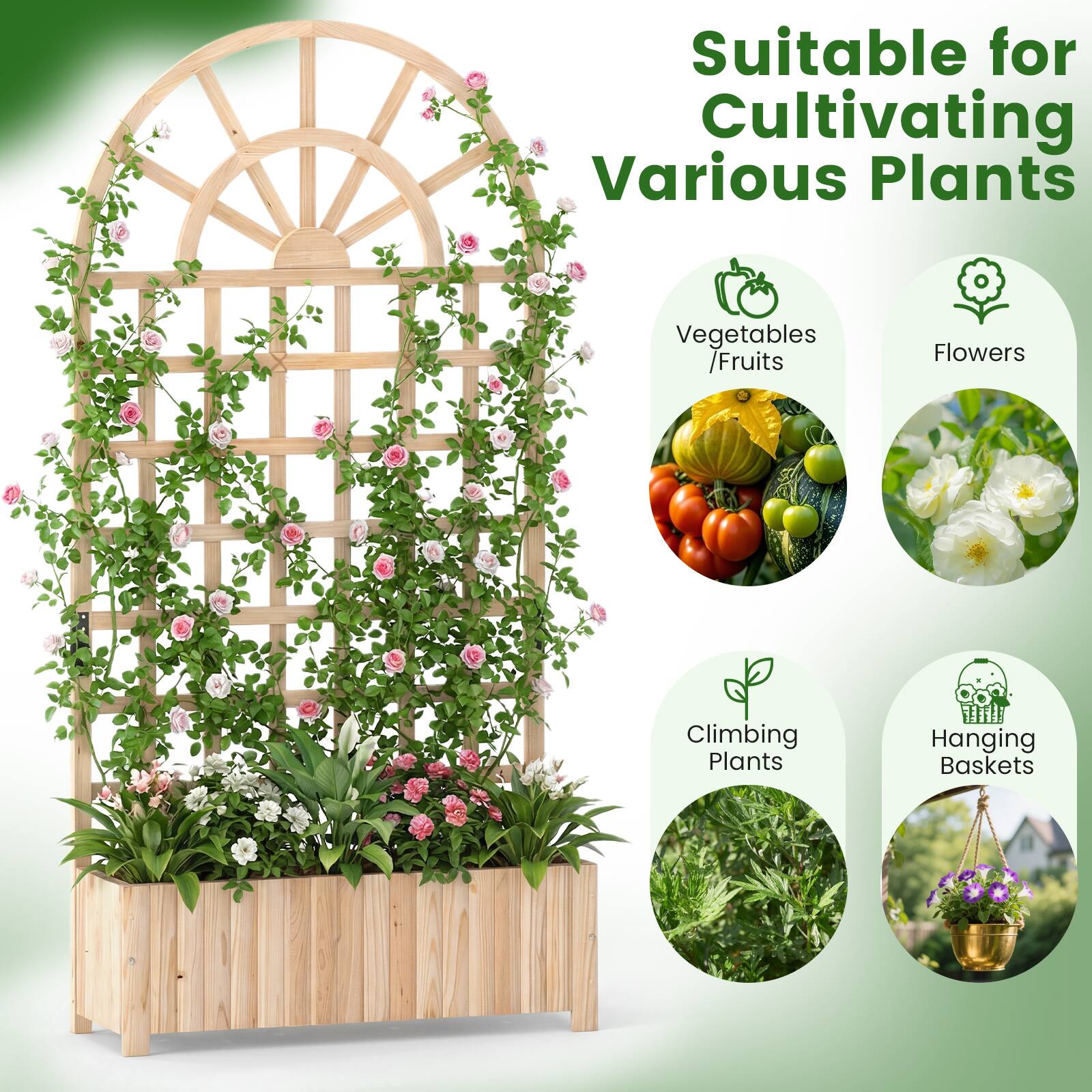 Suitable for Cultivating Various Plants  
Vegetables / Fruits  
Flowers  
Climbing Plants  
Hanging Baskets