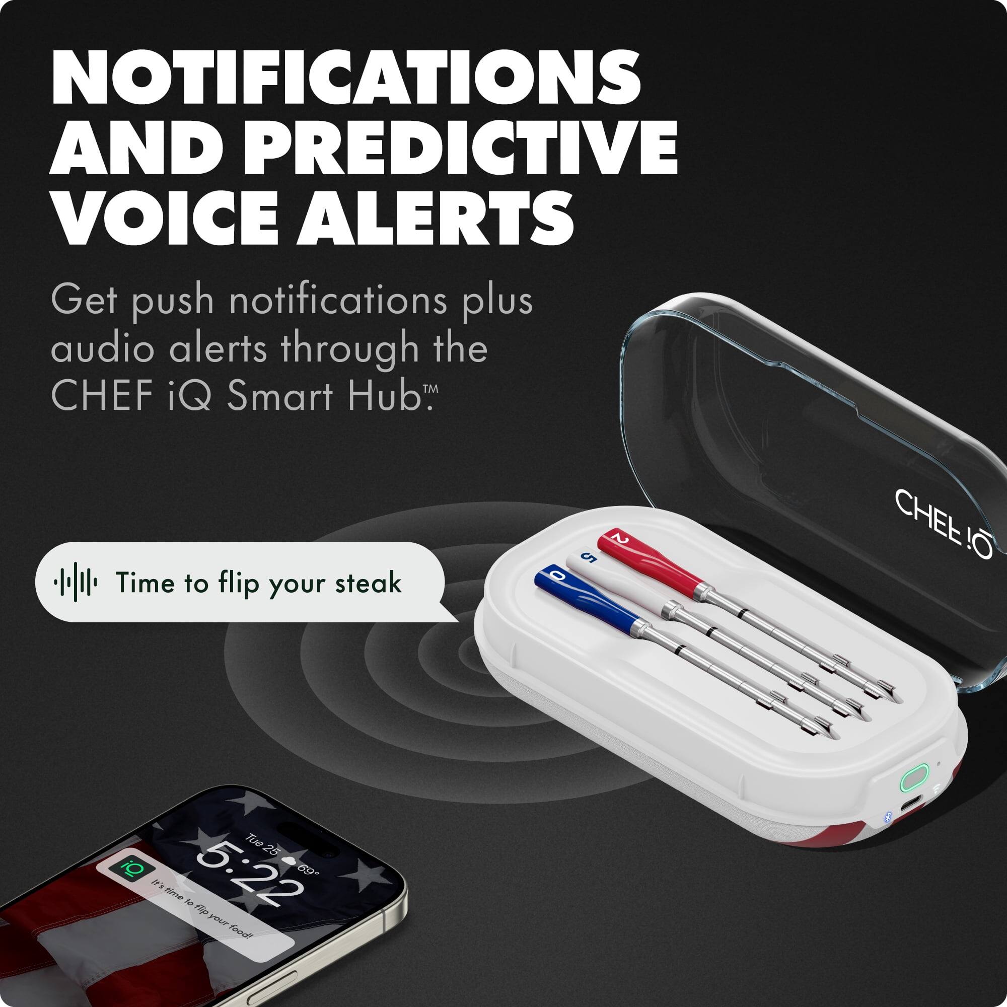 NOTIFICATIONS AND PREDICTIVE VOICE ALERTS

Get push notifications plus audio alerts through the CHEF iQ Smart Hub™

Time to flip your steak

Tue 25 5:22