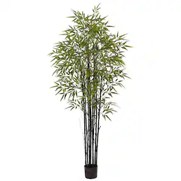 BreeBe - 6' Black Bamboo Tree UV Resistant (Indoor/Outdoor) - Green