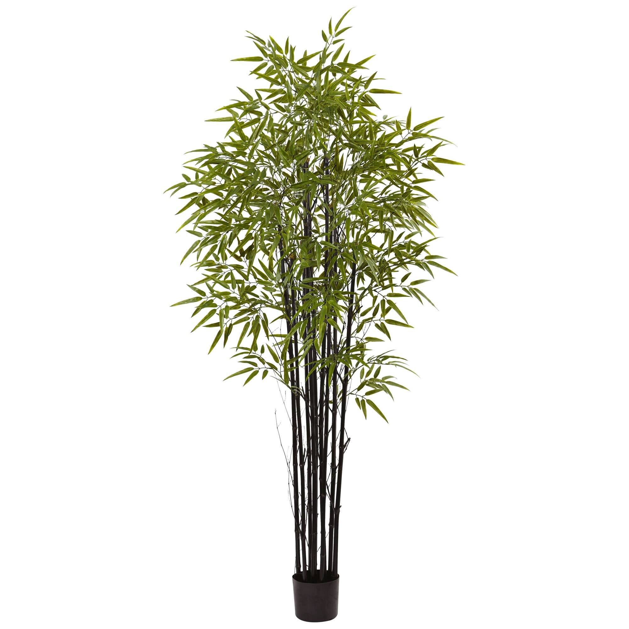 Front. BreeBe - 6' Black Bamboo Tree UV Resistant (Indoor/Outdoor) - Green.