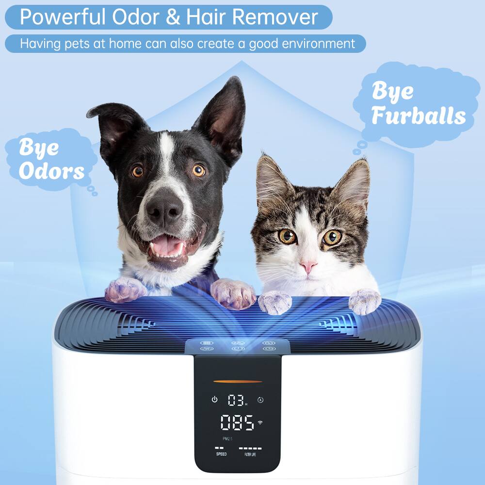 Powerful Odor & Hair Remover  
Having pets at home can also create a good environment  

Bye Odors  
Bye Furballs  

03:085  
SPEED