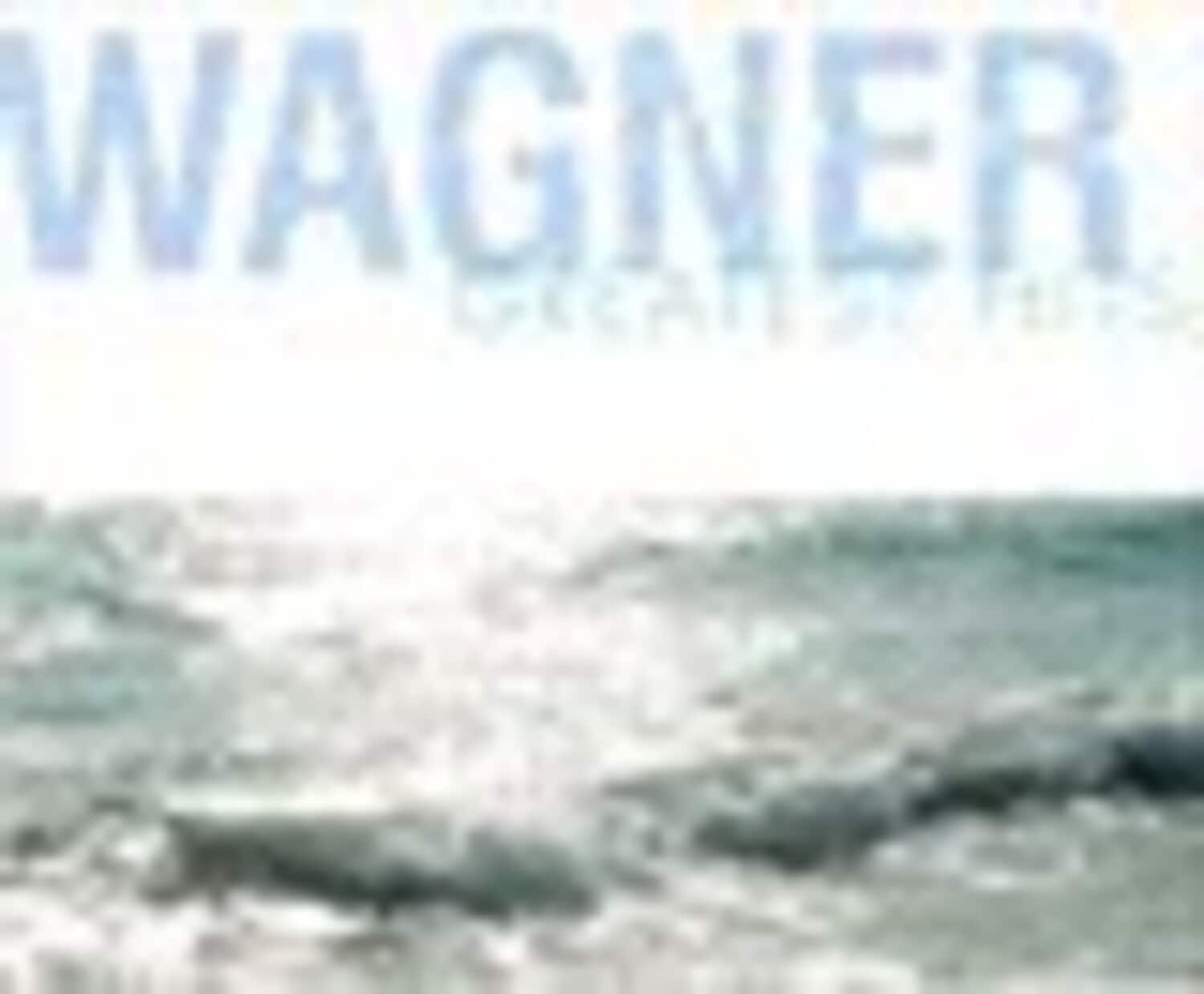 Various Artists - Wagner Greatest Hits    - COMPACT DISCS [CD] price history on PriceWatchPro