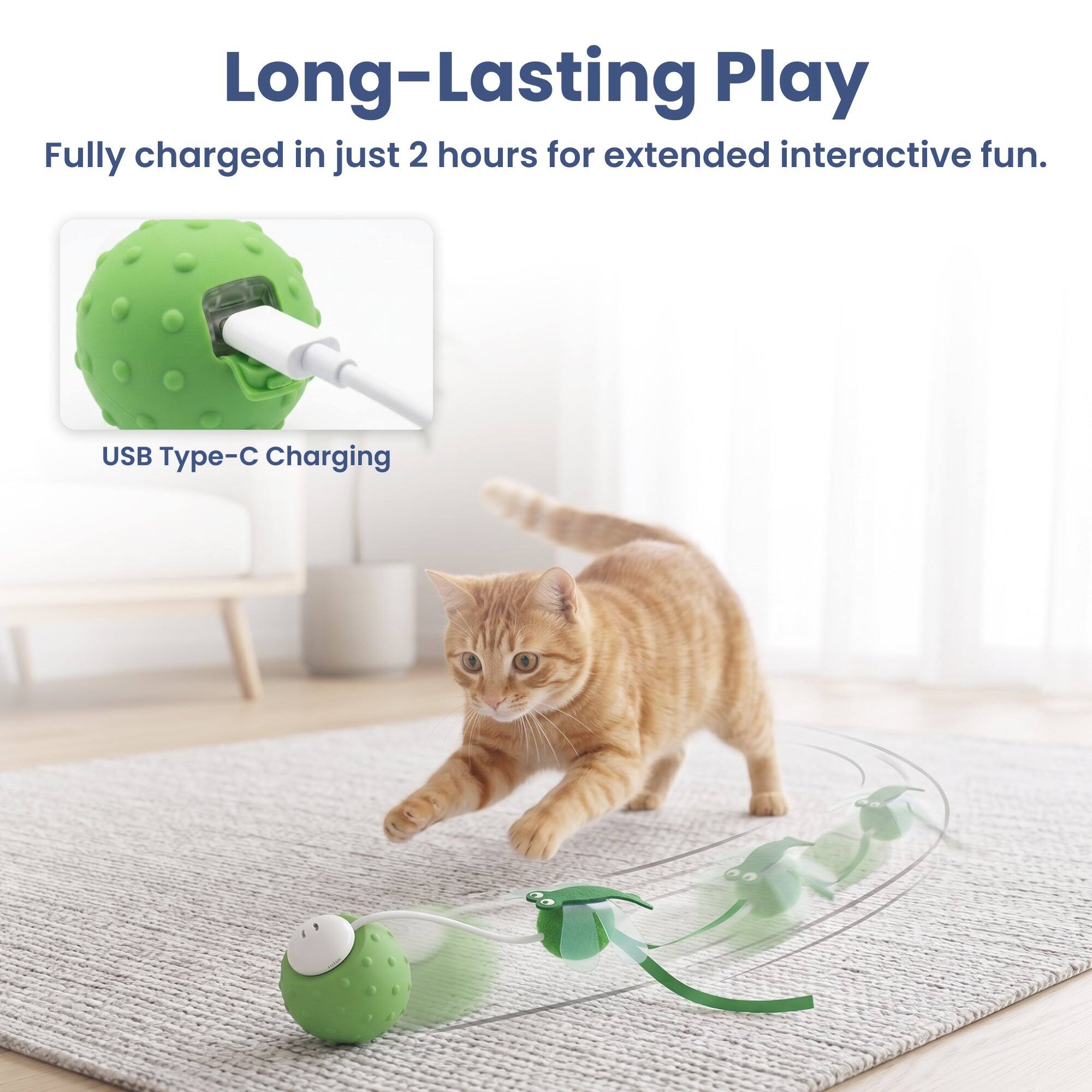 Long-Lasting Play  
Fully charged in just 2 hours for extended interactive fun.  
USB Type-C Charging