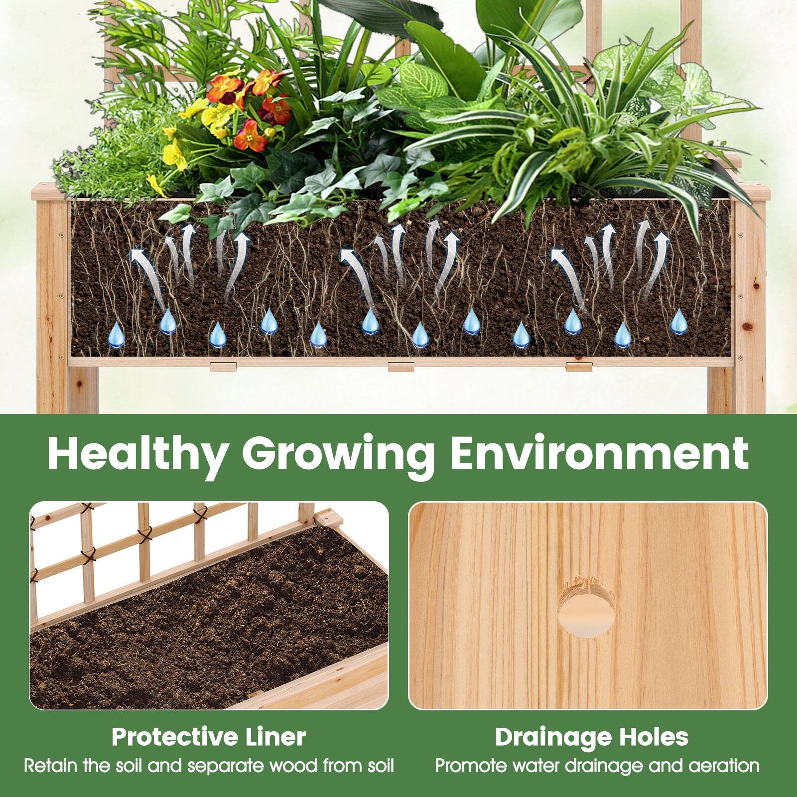 Healthy Growing Environment

Protective Liner
Retain the soil and separate wood from soil

Drainage Holes
Promote water drainage and aeration