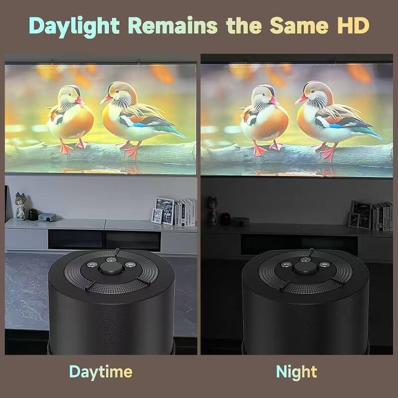 Daylight Remains the Same HD

Daytime

Night