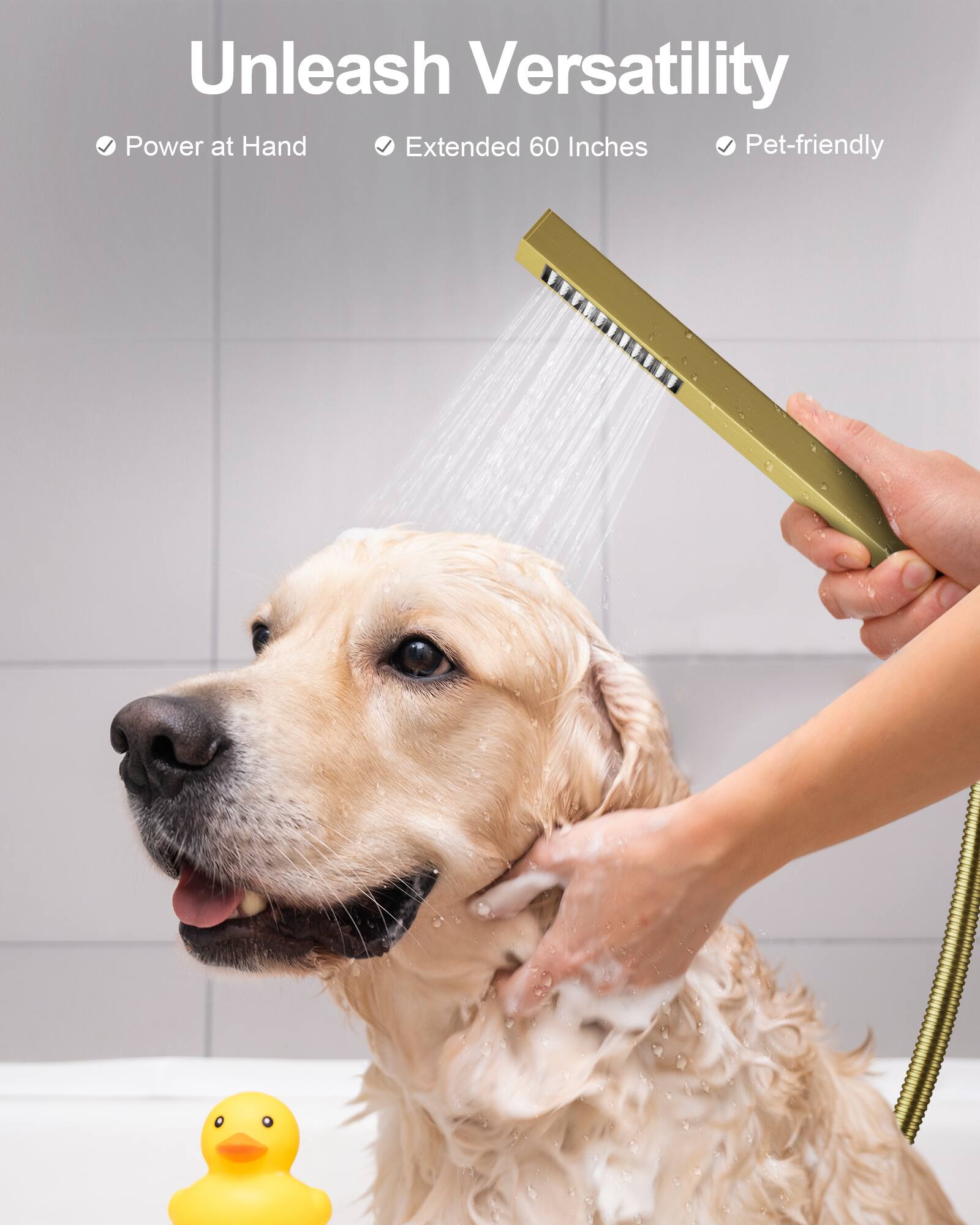 Unleash Versatility  
Power at Hand  
Extended 60 Inches  
Pet-friendly