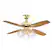 Front. Westinghouse - Westinghouse 42 in. Polished Brass Brown LED Indoor Ceiling Fan - Brown.