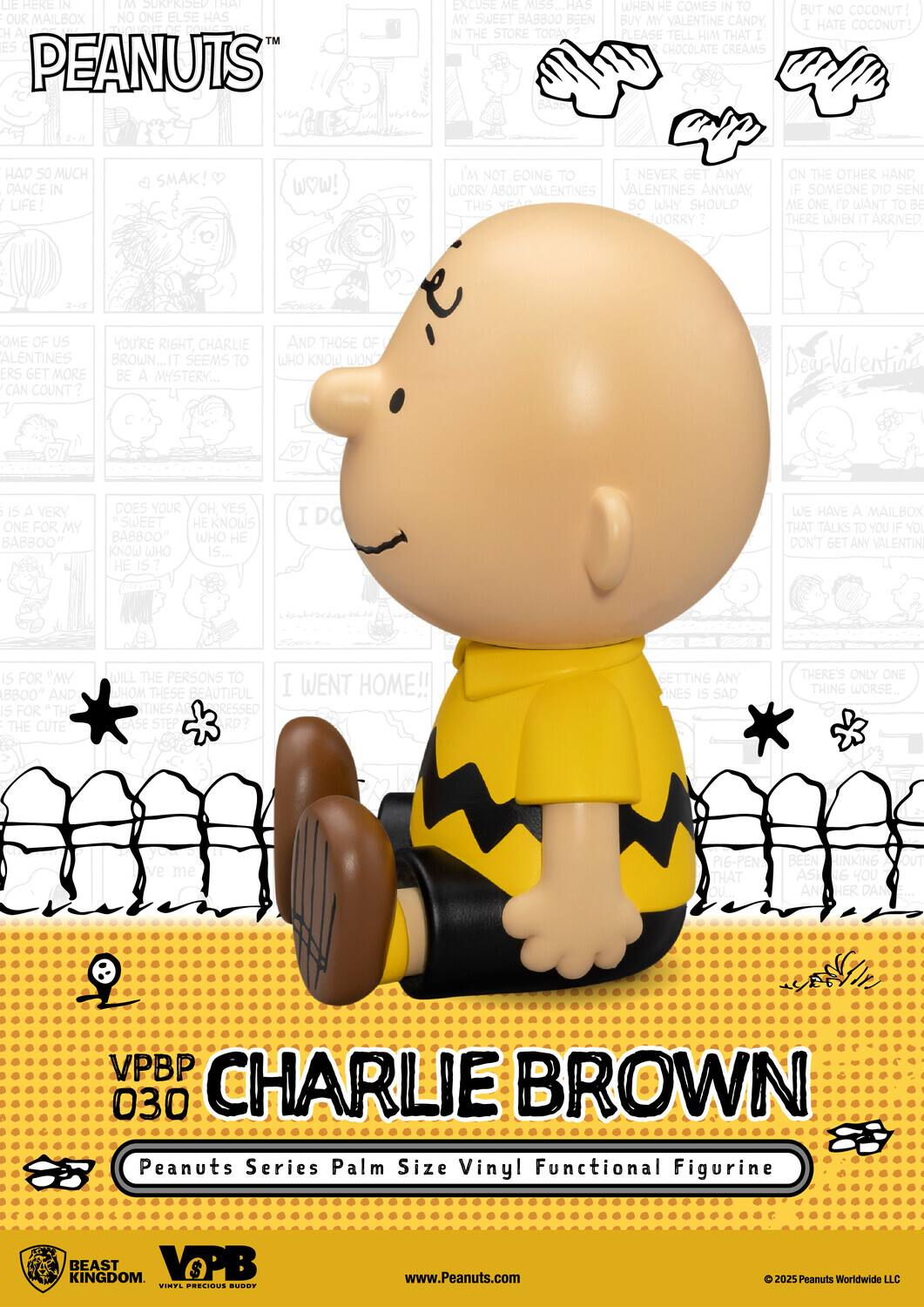 Sure, here is the corrected and grouped text from the image:

---

**PEANUTS™**

**CHARLIE BROWN**

Vinyl Functional Figurine

Peanuts Series Palm Size

VPBP 030

BEAST KINGDOM

VINYL PRECIOUS BUDDY

www.Peanuts.com

© 2025 Peanuts Worldwide LLC

---

**Text from the comic strips:**

- "We have a mailbox that talks to you if you don't get any valentines."
- "I'm not going to worry about valentines anyway. This year, why should I worry?"
- "If someone did send me one, I'd want to be there when it arrived."
- "I never get any valentines. Should I worry?"
- "There's only one thing worse. Getting any valentines is sad."
- "Oh, yes, he knows who he is..."
- "Does your sweet Babboo know who he is?"
- "I do. Who is..."
- "Dear Valentine, I went home!!"
- "And those of us who know won't get more valentines can count?"
- "You're right, Charlie Brown... it seems to be a mystery