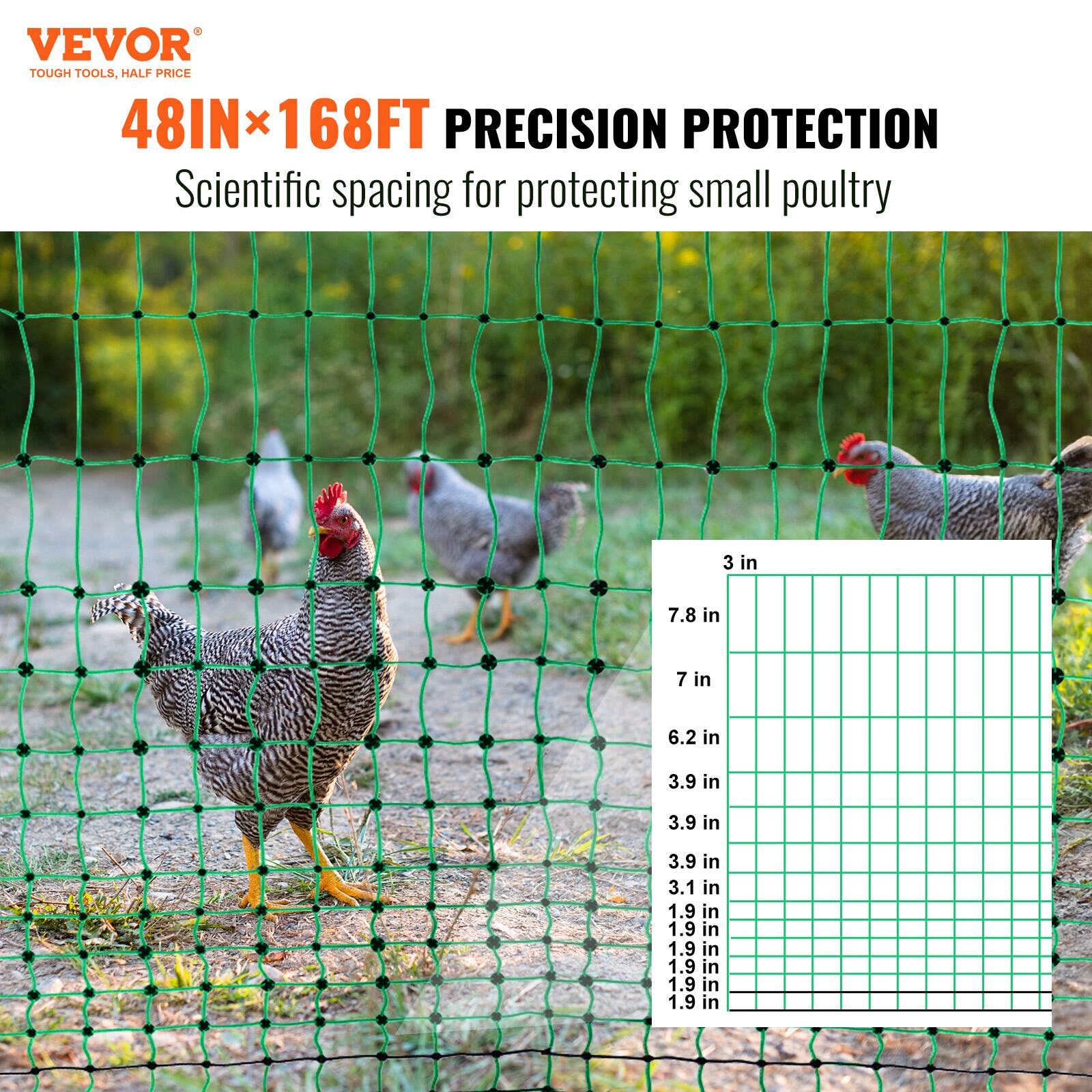 VEVOR  
TOUGH TOOLS, HALF PRICE  

48IN x 168FT PRECISION PROTECTION  
Scientific spacing for protecting small poultry  

3 in  
7.8 in  
7 in  
6.2 in  
3.9 in  
3.9 in  
3.9 in  
3.1 in  
1.9 in  
1.9 in  
1.9 in  
1.9 in  
1.9 in  
1.9 in