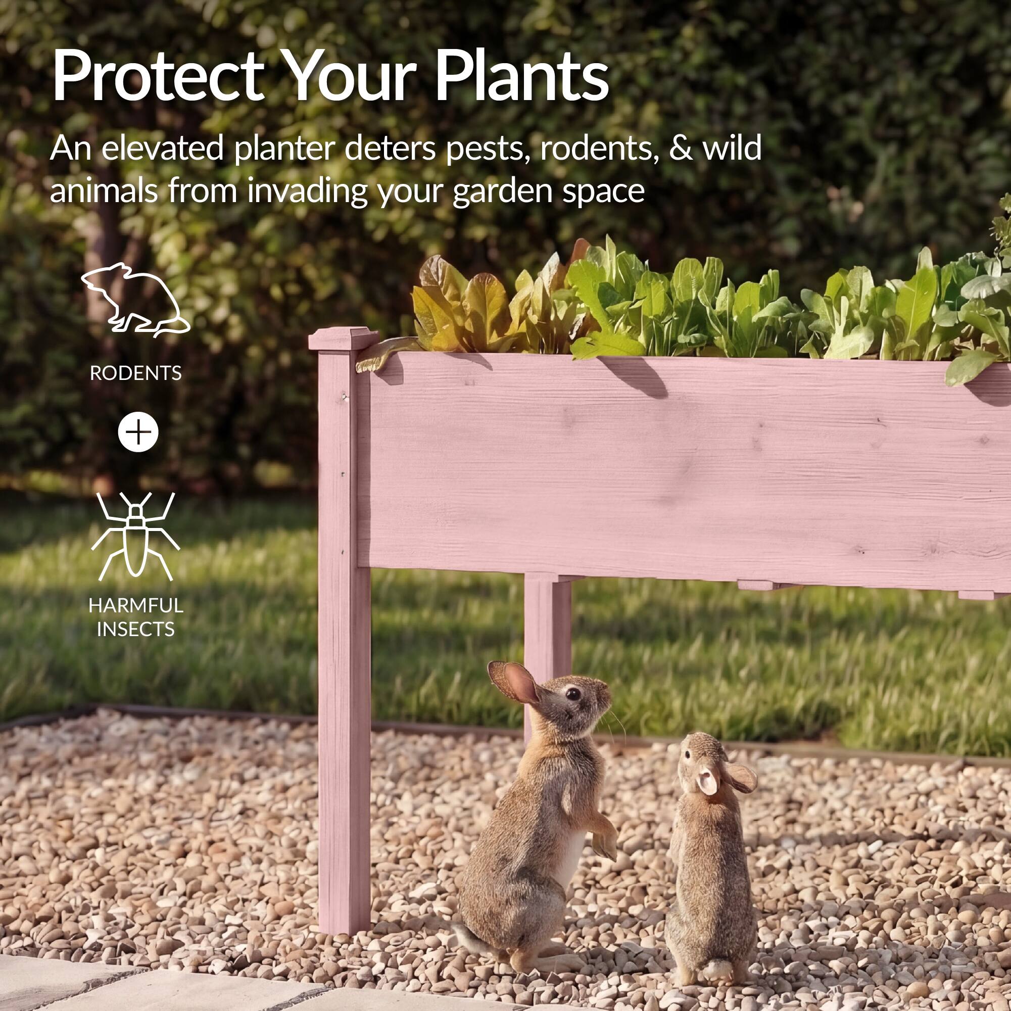 Protect Your Plants

An elevated planter deters pests, rodents, & wild animals from invading your garden space

RODENTS + HARMFUL INSECTS