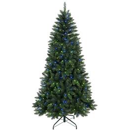 Dexmalle - Dexmalle-6ft Music Christmas Tree with 300 WiFi-Controlled RGB LED Lights,751 PVC Tips,38 Light Functions - Green