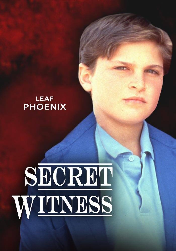 Secret Witness - DVD
