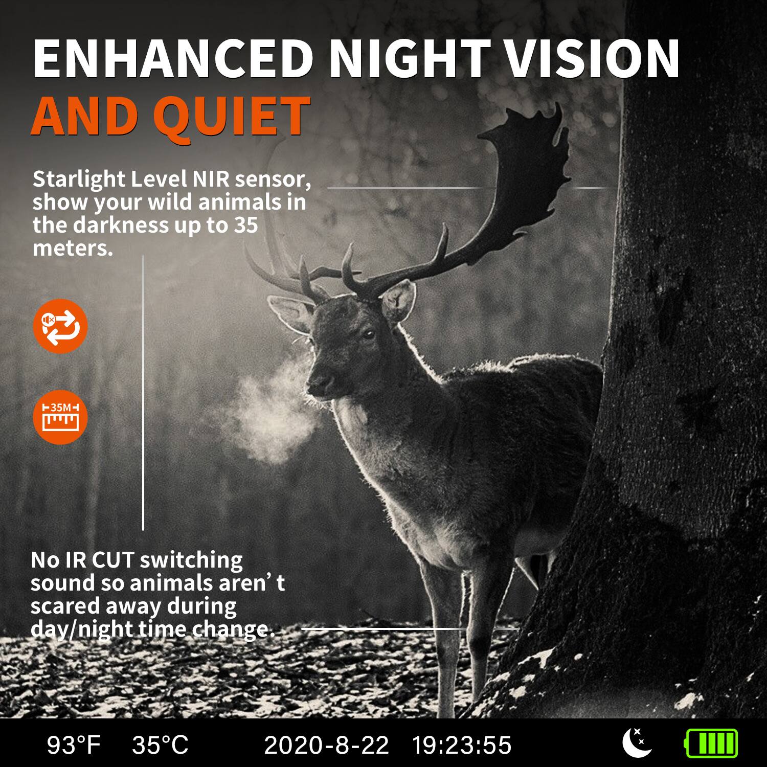 ENHANCED NIGHT VISION AND QUIET

Starlight Level NIR sensor, show your wild animals in the darkness up to 35 meters.

No IR CUT switching sound so animals aren't scared away during day/night time change.

93°F 35°C 2020-8-22 19:23:55