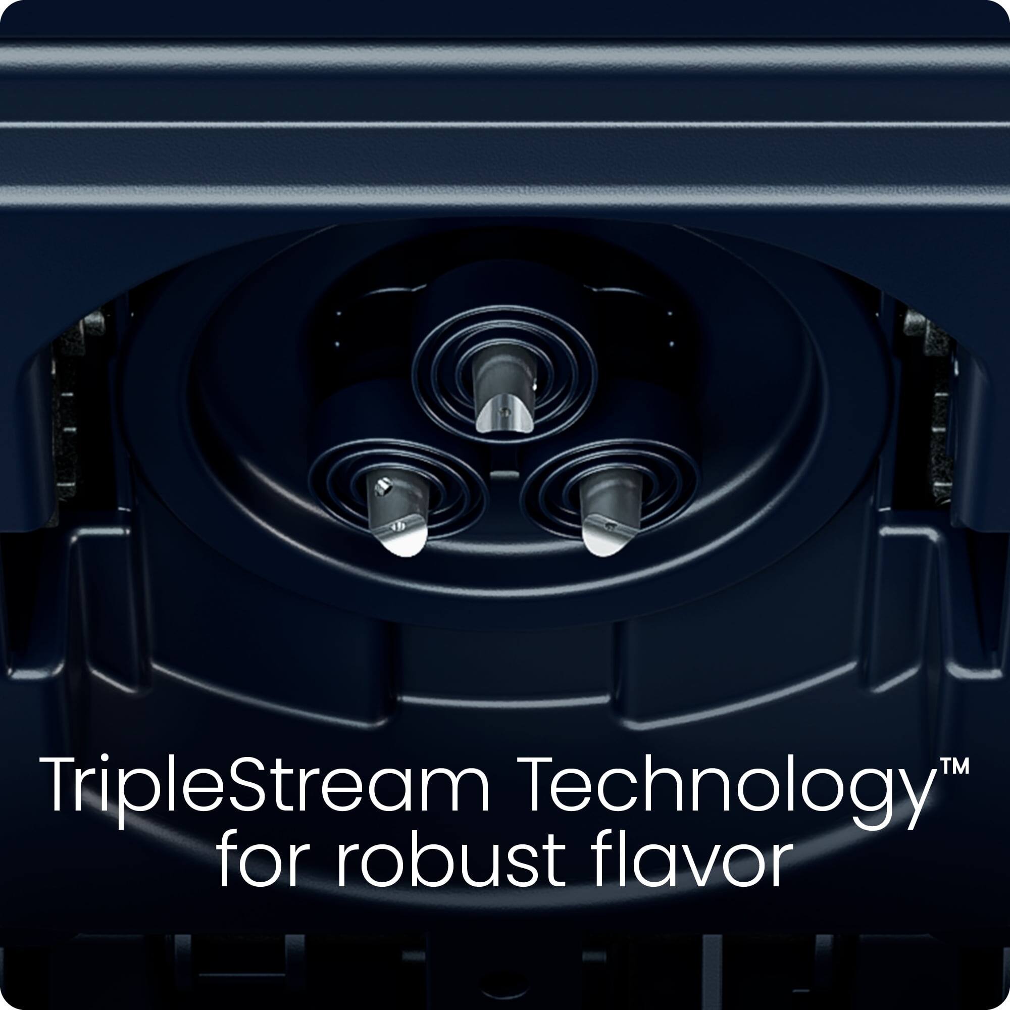 TripleStream Technology™ for robust flavor