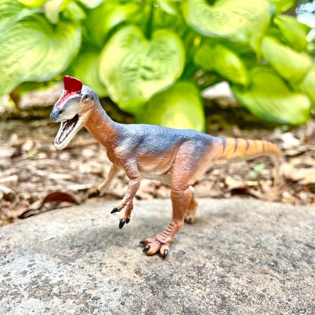 Alt View 3. Safari Ltd. - Cryolophosaurus Toy Figurine.