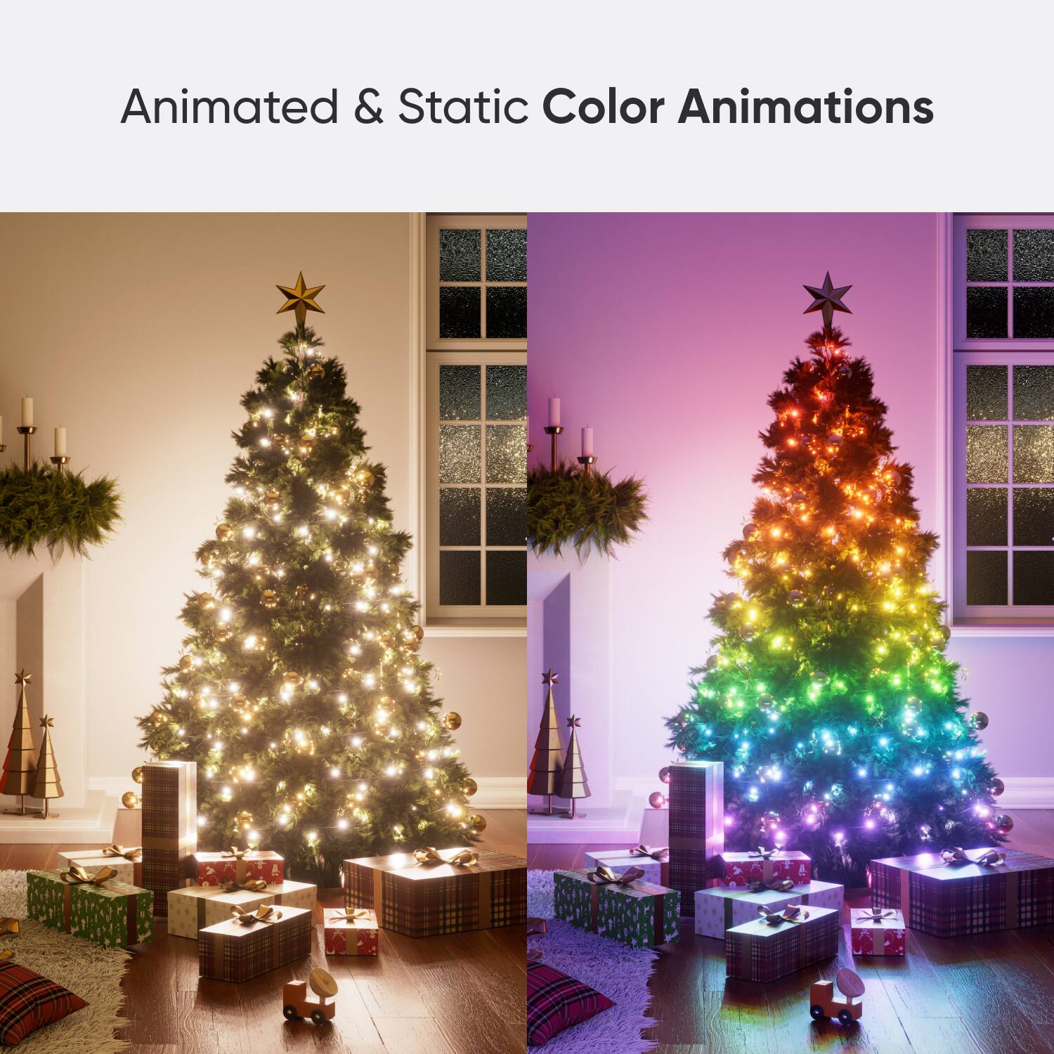 Animated & Static Color Animations