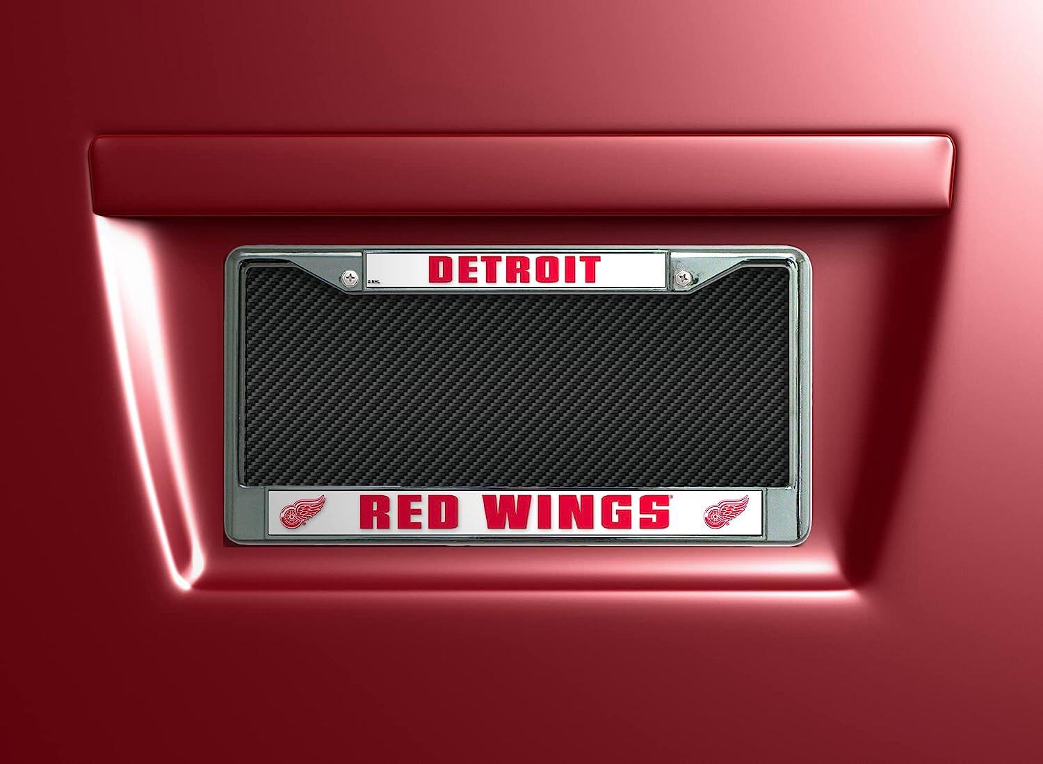 DETROIT  
RED WINGS