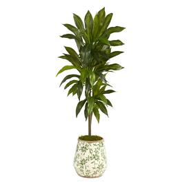 BreeBe - 4' Dracaena Plant in Flower Print Planter (Real Touch) - Green