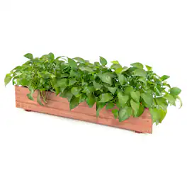 Costway - 36 Inch Wooden Flower Planter Box Garden Yard Decorative Window Box Rectangular - Natural