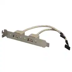 Front. Sanoxy - Sanoxy USB 2.0 A Female 2 Port Internal AT Motherboard Adapter - Beige.