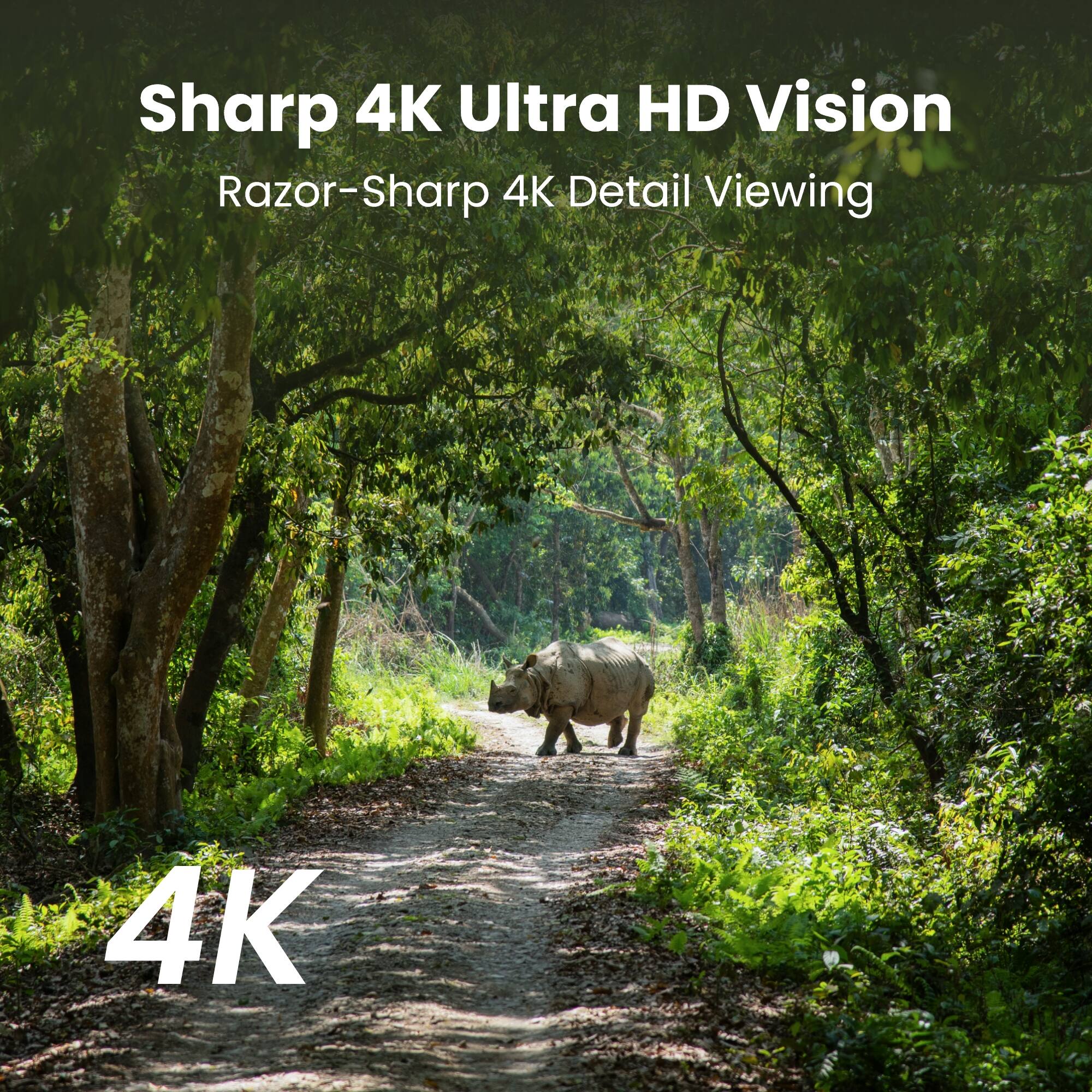 Sharp 4K Ultra HD Vision  
Razor-Sharp 4K Detail Viewing  
4K