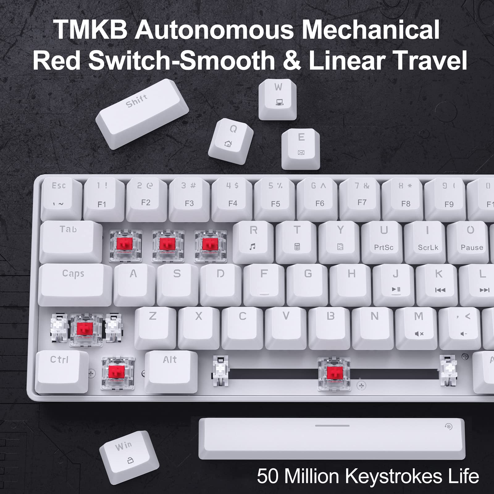 TMKB Autonomous Mechanical Red Switch-Smooth & Linear Travel

50 Million Keystrokes Life