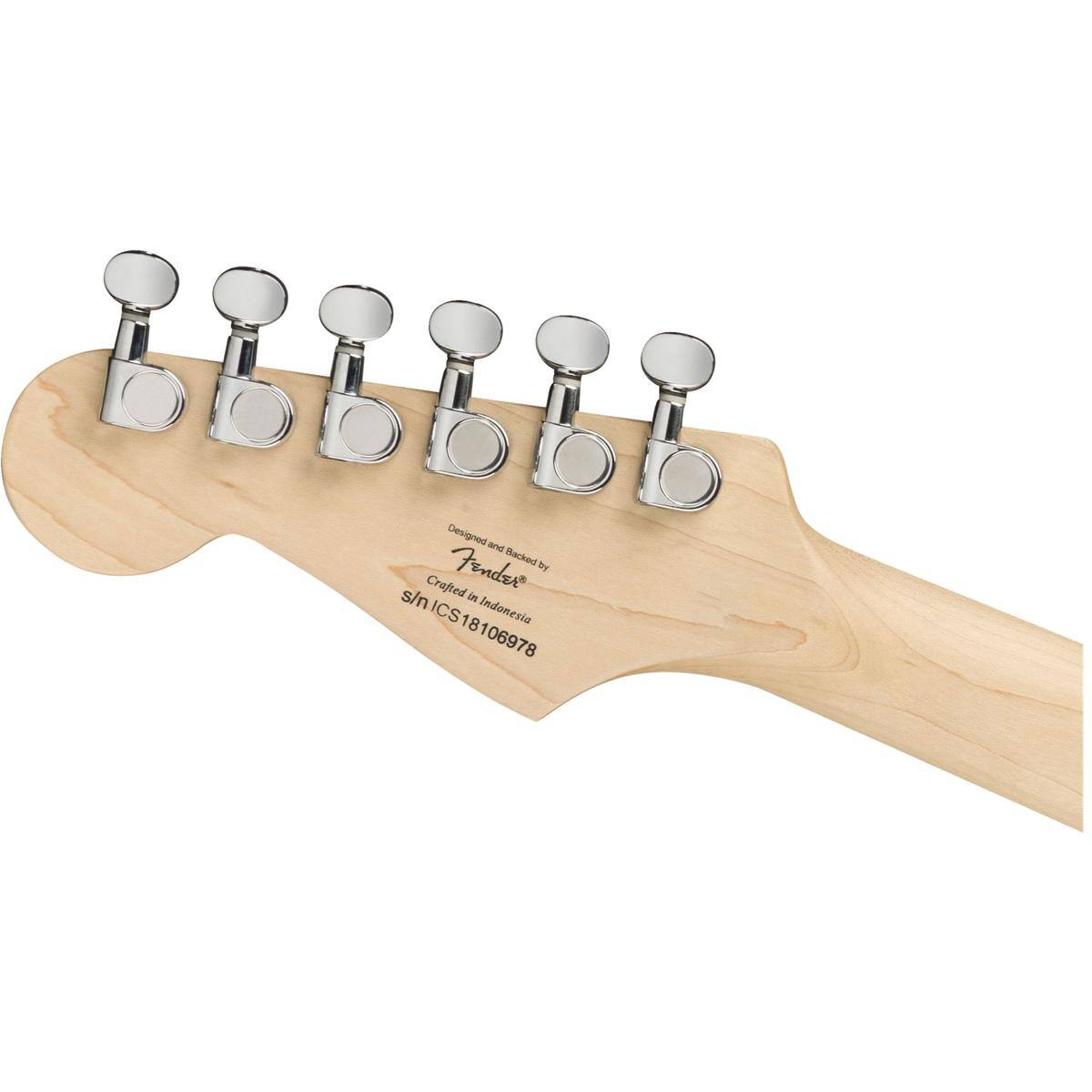 Designed and Backed by Fender  
Crafted in Indonesia  
s/n ICS18106978