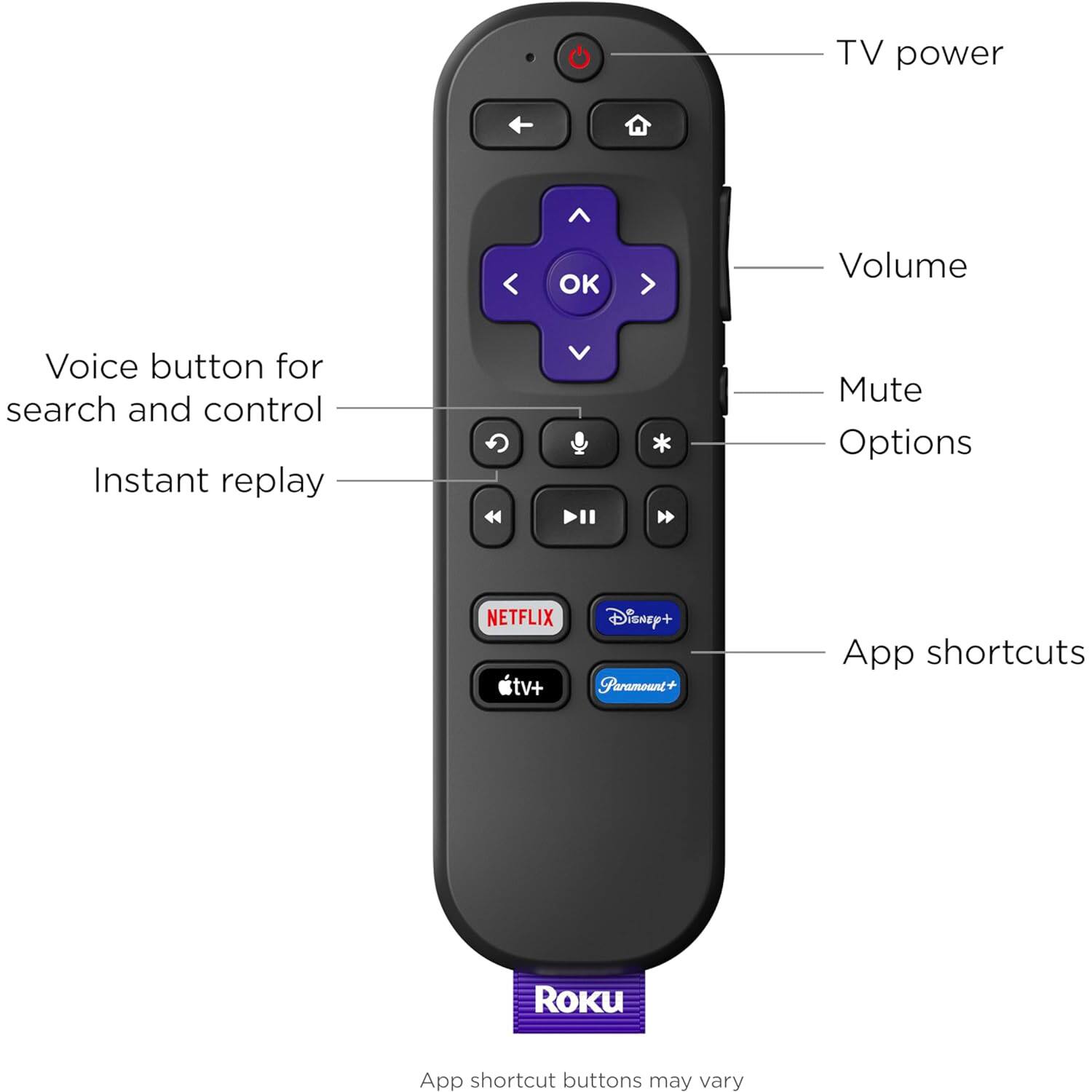 - TV power
- Volume
- Mute
- Options
- Voice button for search and control
- Instant replay
- App shortcuts
  - NETFLIX
  - Disney+
  - Paramount+
  - tv+
- App shortcut buttons may vary