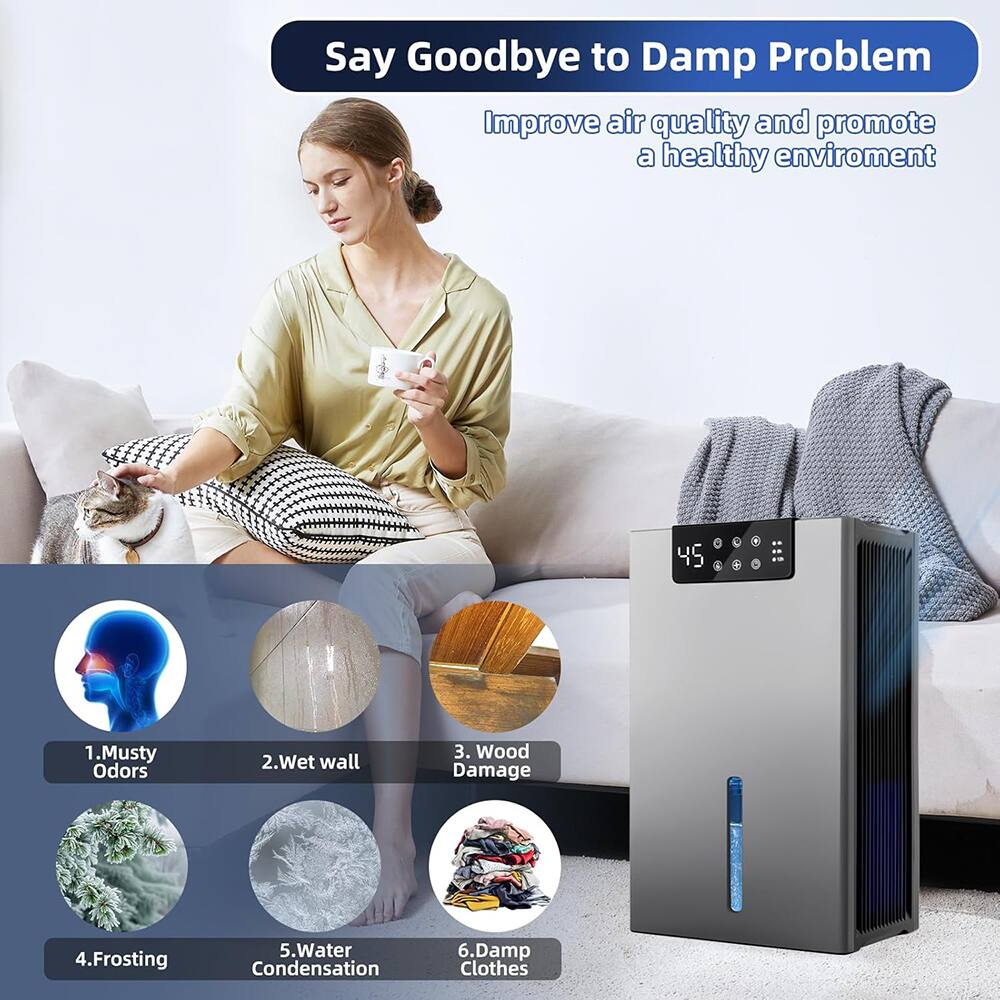Say Goodbye to Damp Problem  
Improve air quality and promote a healthy environment  

1. Musty Odors  
2. Wet Wall  
3. Wood Damage  
4. Frosting  
5. Water Condensation  
6. Damp Clothes