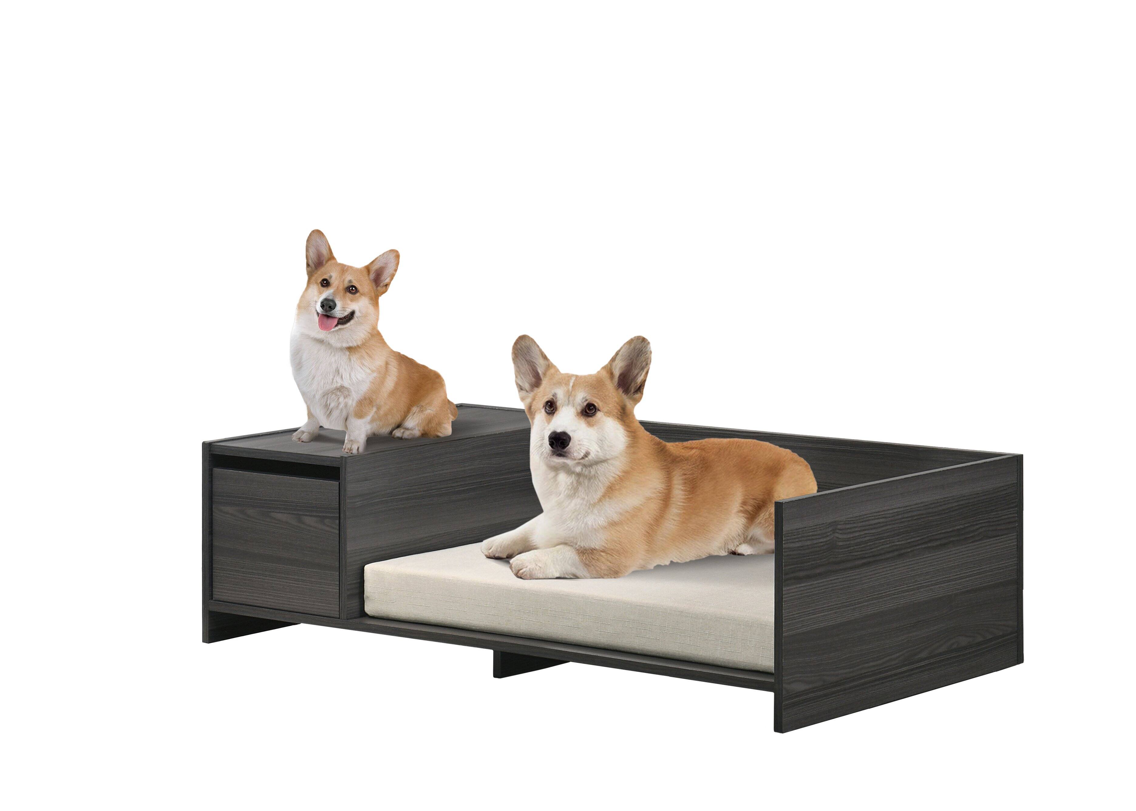 Angle. Siljoy - Ash Gray 47" Wide Modern Pet Bed with Cushion, Side Storage Compartment & Removable Cover, 22 lb Capacity - Dark Gray.