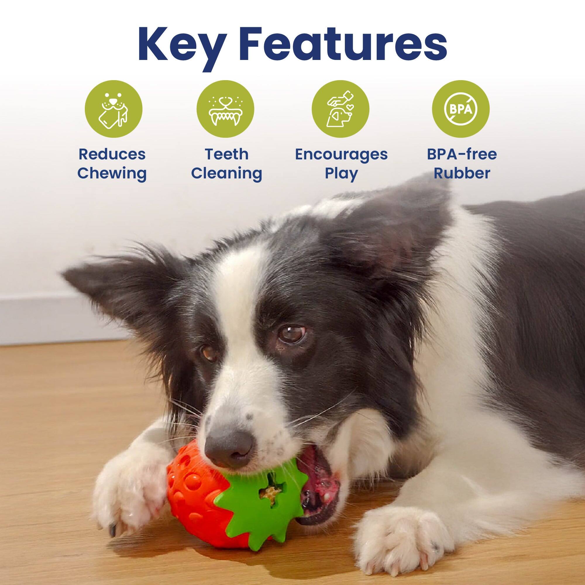 Key Features
- Reduces Chewing
- Teeth Cleaning
- Encourages Play
- BPA-free Rubber