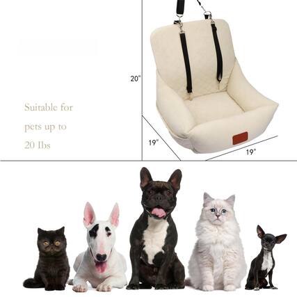 Suitable for pets up to 20 lbs
20"
19"
19"