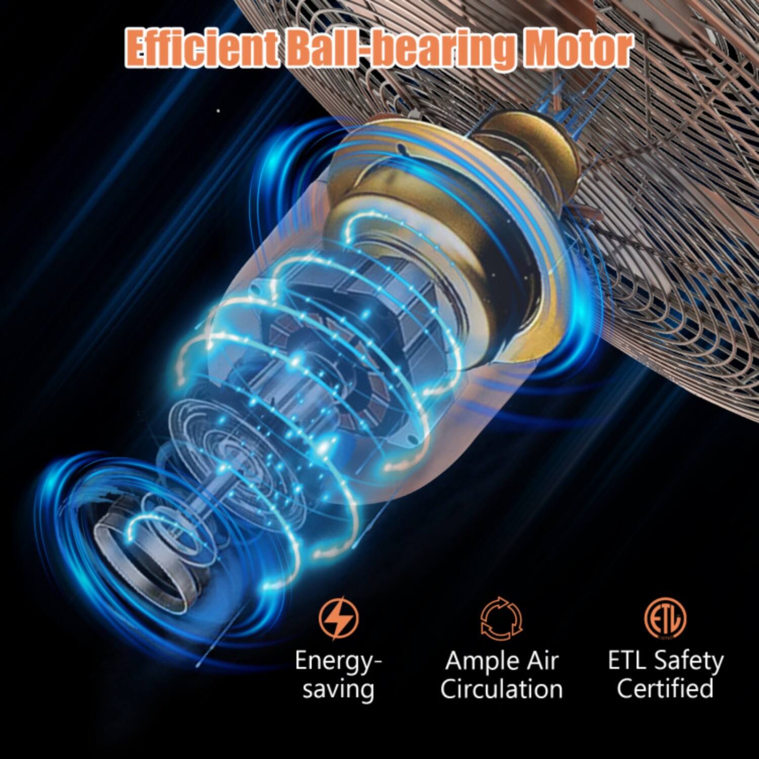 Efficient Ball-bearing Motor  
Energy-saving  
Ample Air Circulation  
ETL Safety Certified