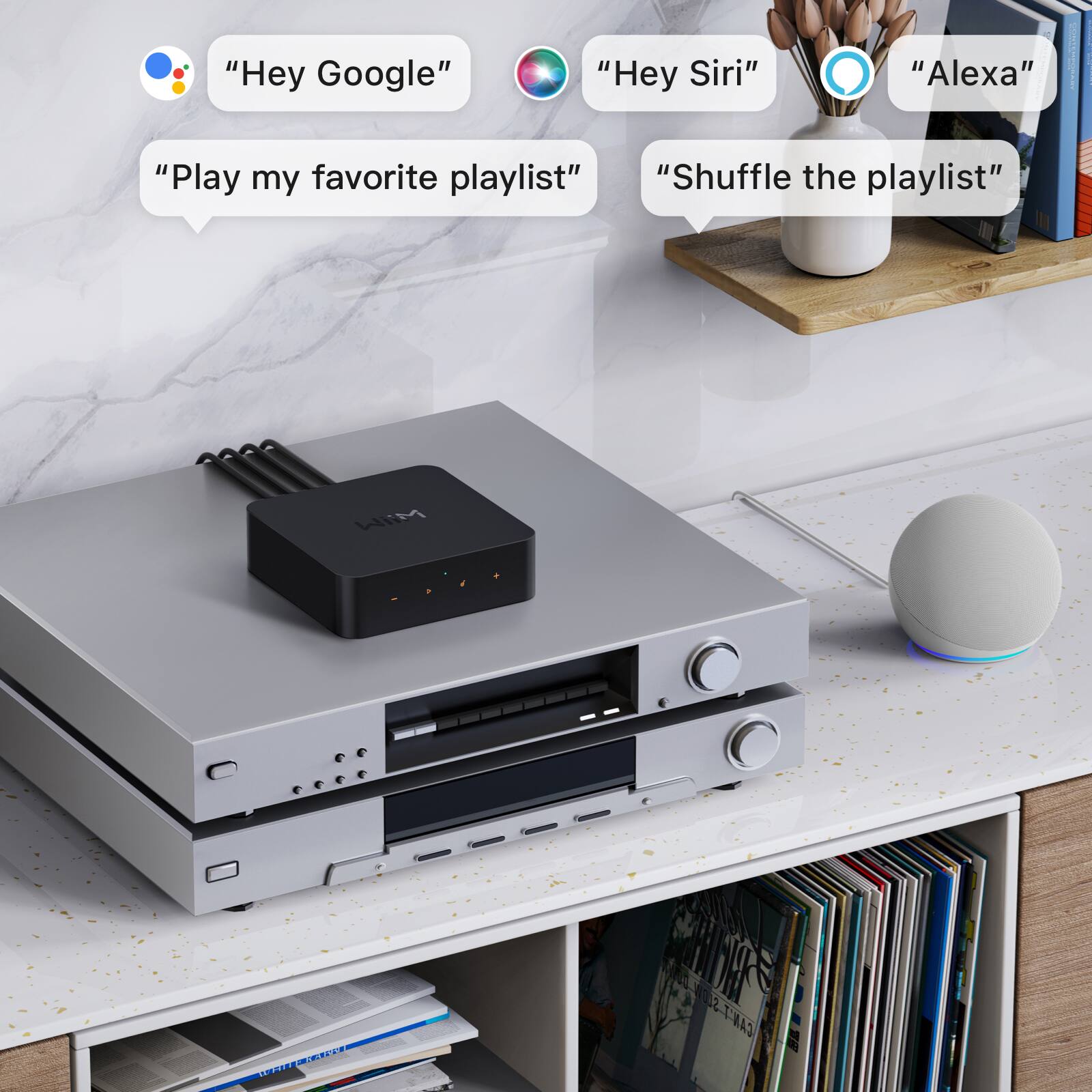 "Hey Google"
"Hey Siri"
"Alexa"
"Play my favorite playlist"
"Shuffle the playlist"