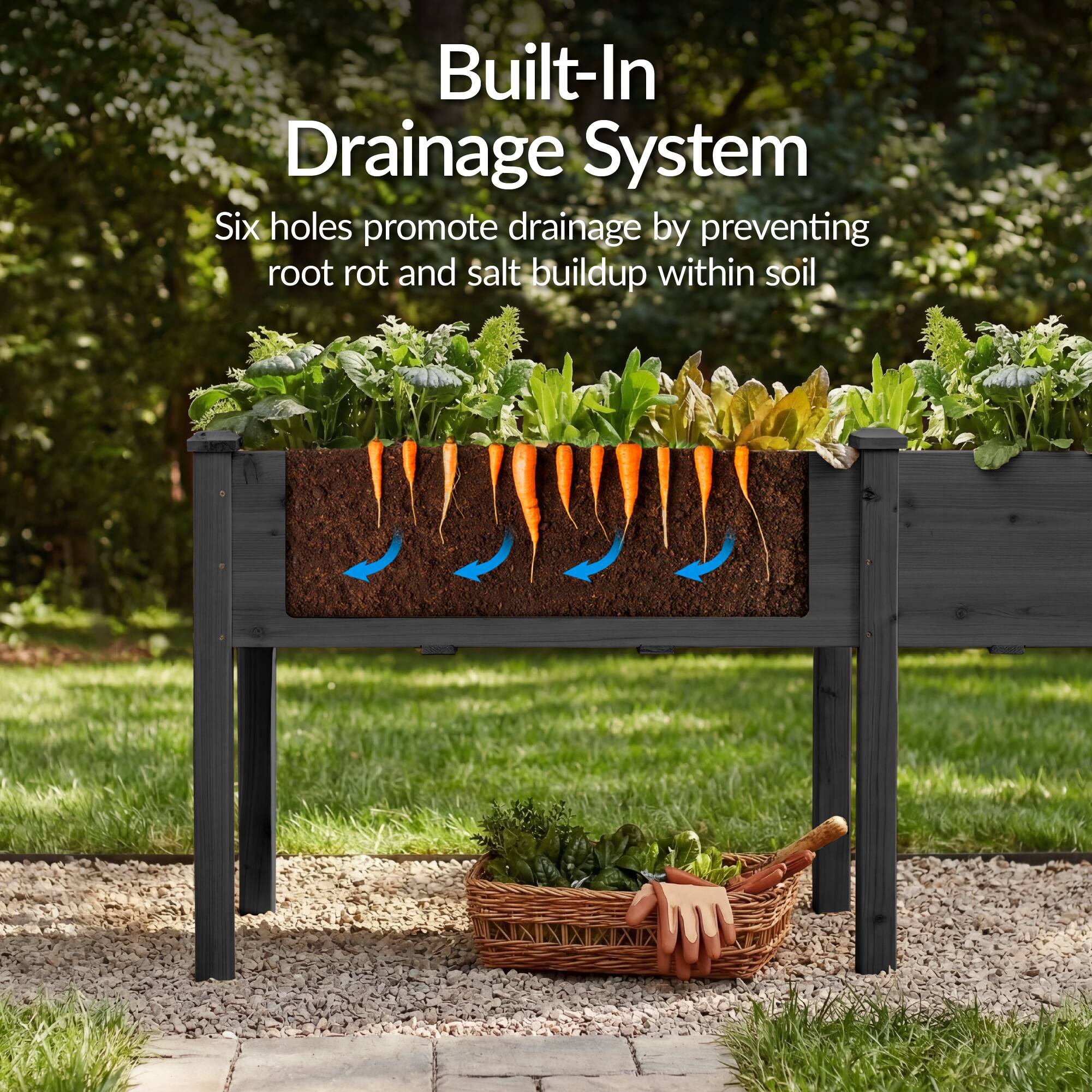 Built-In Drainage System  
Six holes promote drainage by preventing root rot and salt buildup within soil