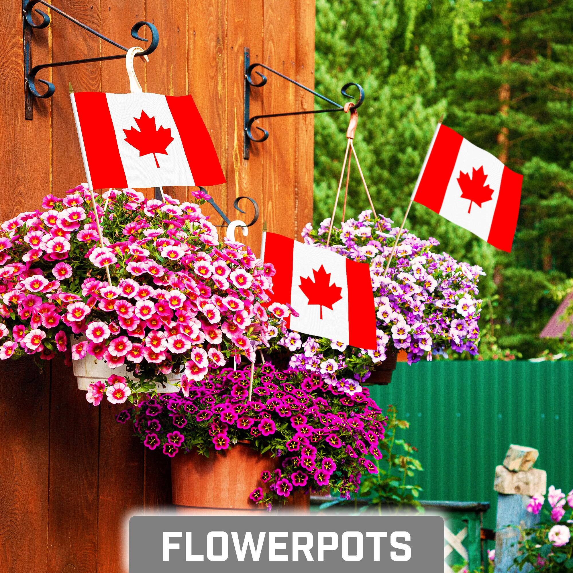 Angle. G128 - 30-Pack Handheld Canada Stick Flags, 8 x 12 in, 150D Polyester with Wooden Pole and Gold Spear Tip. - Assorted Colors.