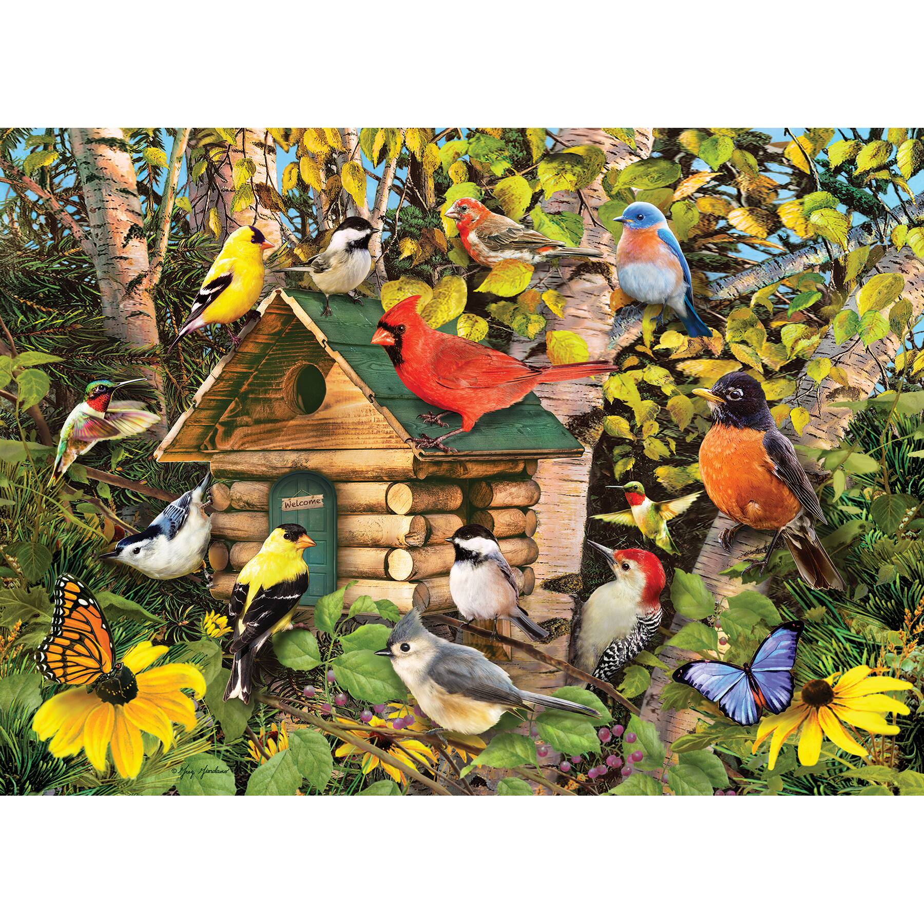 Angle. Outset Media - Outset Media: Cobble Hill 1000 Piece Puzzle: Bird Cabin - Reference Poster Included.