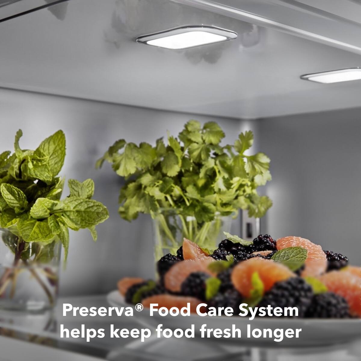 Preserva® Food Care System helps keep food fresh longer