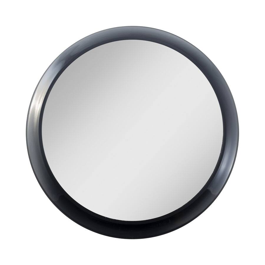 Zadro - Traveling Wall Mounted Shower Mirror with 5X Magnification & Suction Cups - Black price history on PriceWatchPro