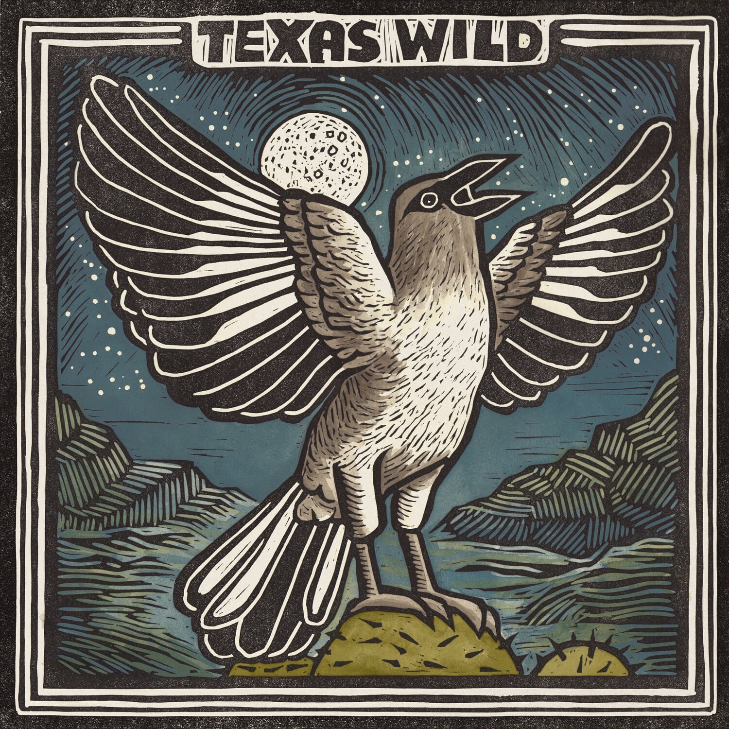 Various Artists - Texas Wild (Various Artists)  - VINYL LP