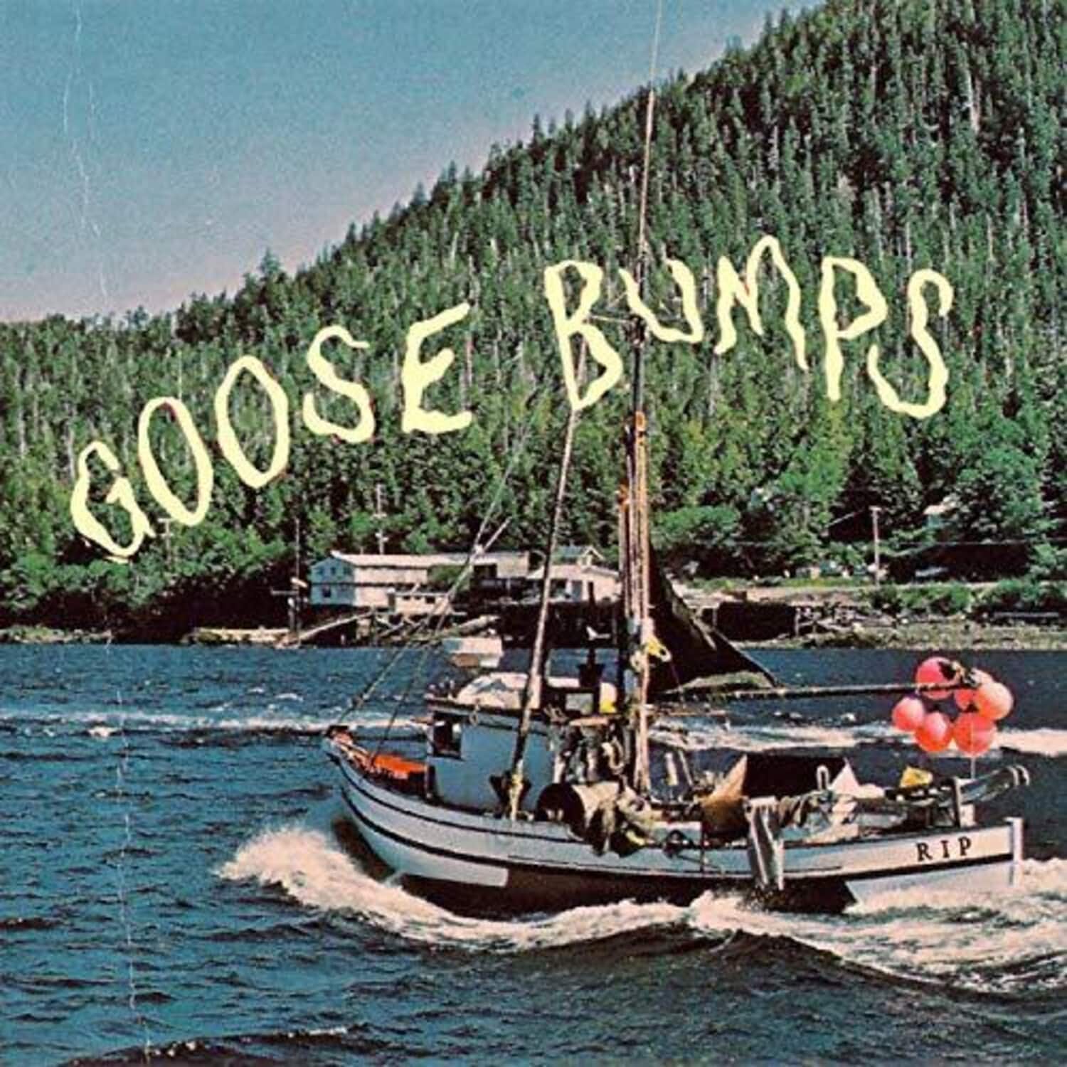 Boyscott - Goose Bumps   - COMPACT DISCS [CD] price history on PriceWatchPro